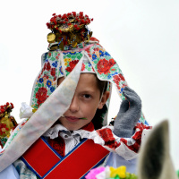 Bob Gajdoš - Král   (Jízda králů, Kunovice 2014)